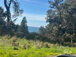 MLS #326013694 image #0