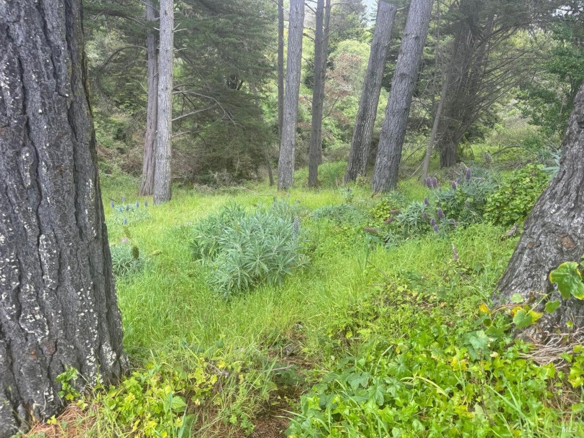 MLS #326035180 image #0