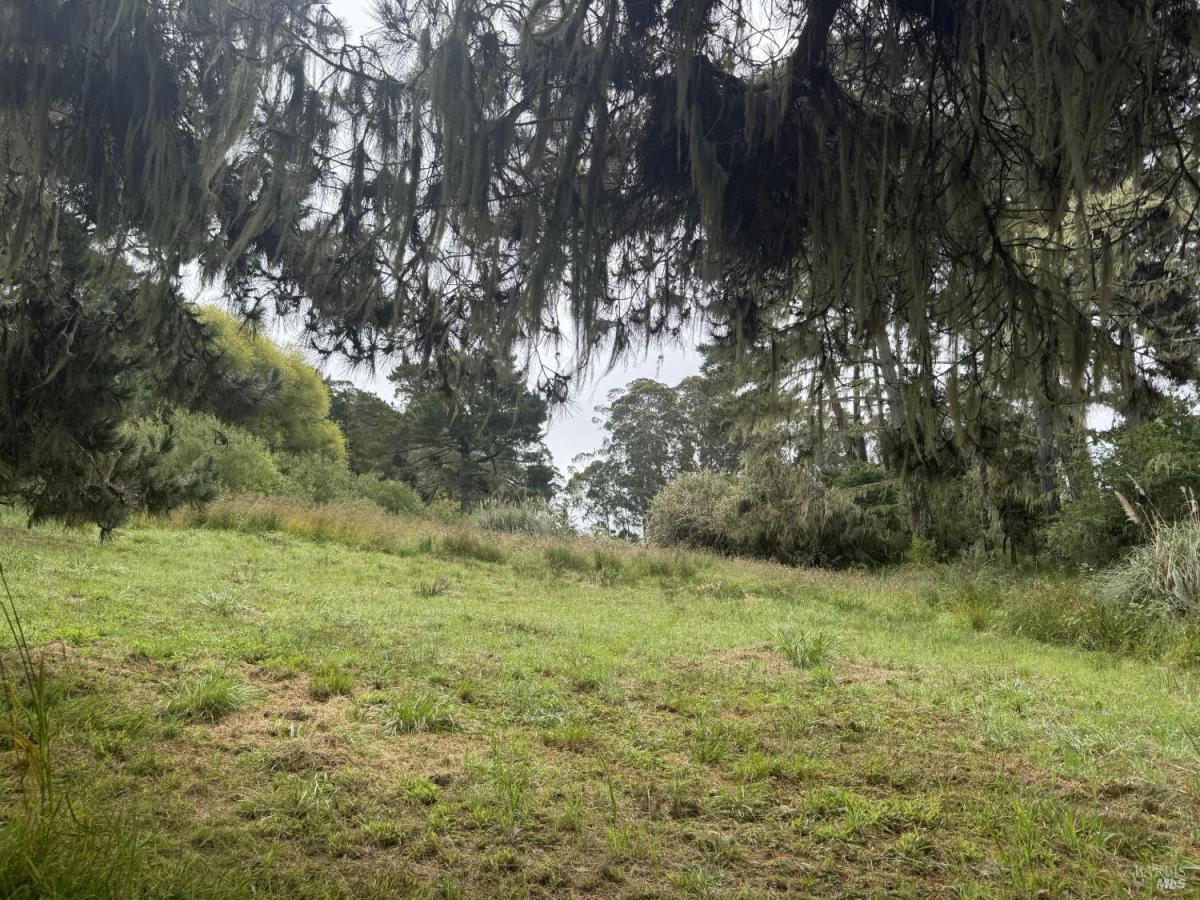 MLS #326053769 image #0