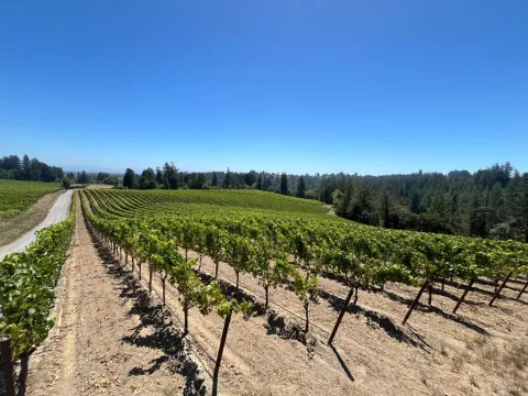 broker reciprocity