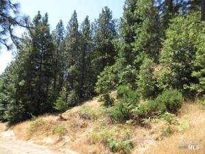 MLS #326061282 image #0