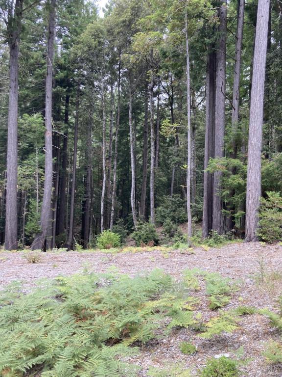 MLS #326070467 image #0