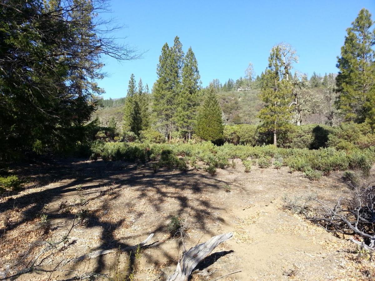 MLS #326080794 image #0