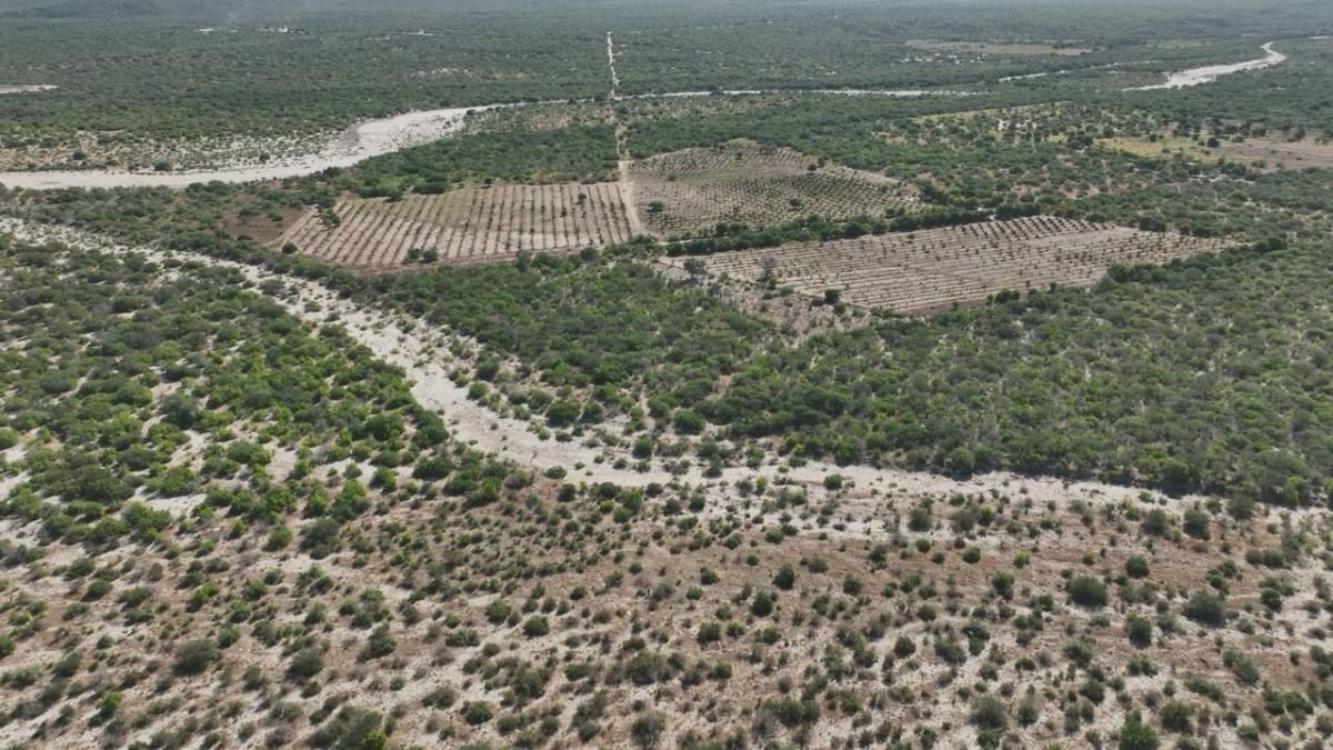 MLS #21-2256 image #0