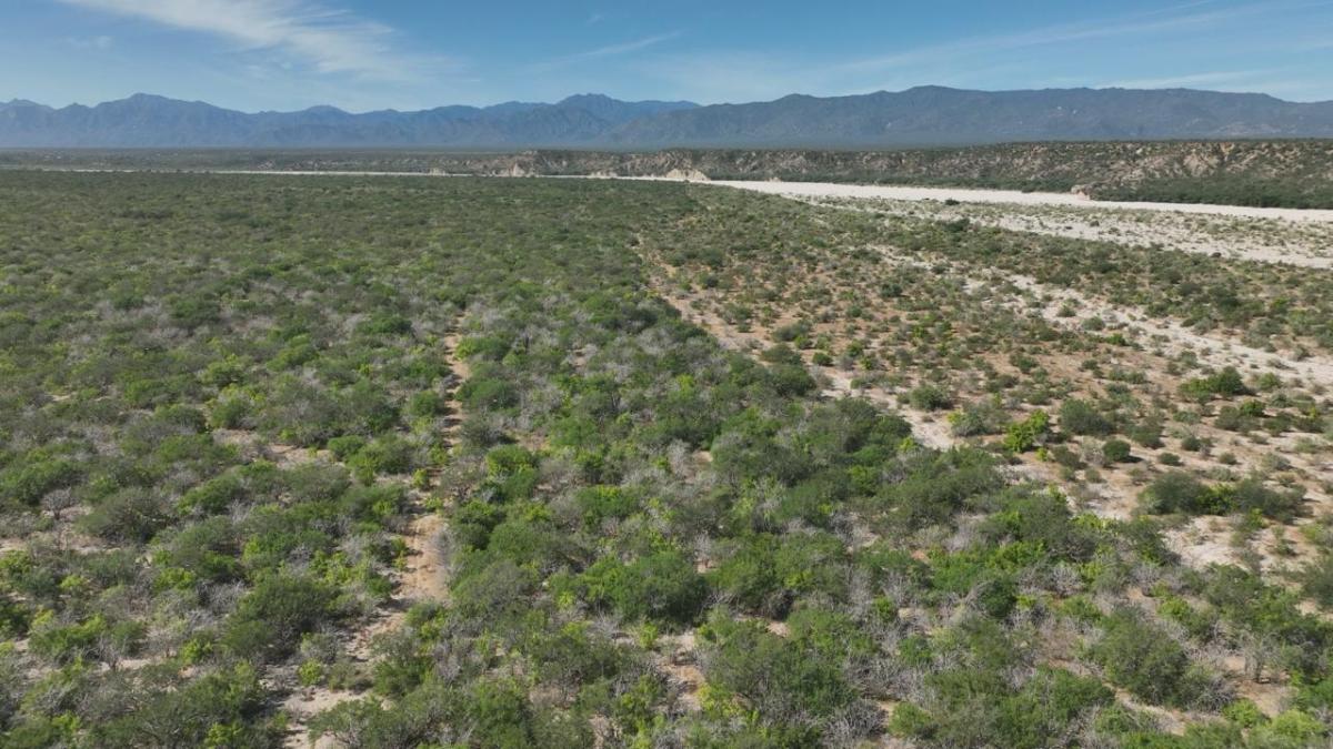 MLS #21-2256 image #0