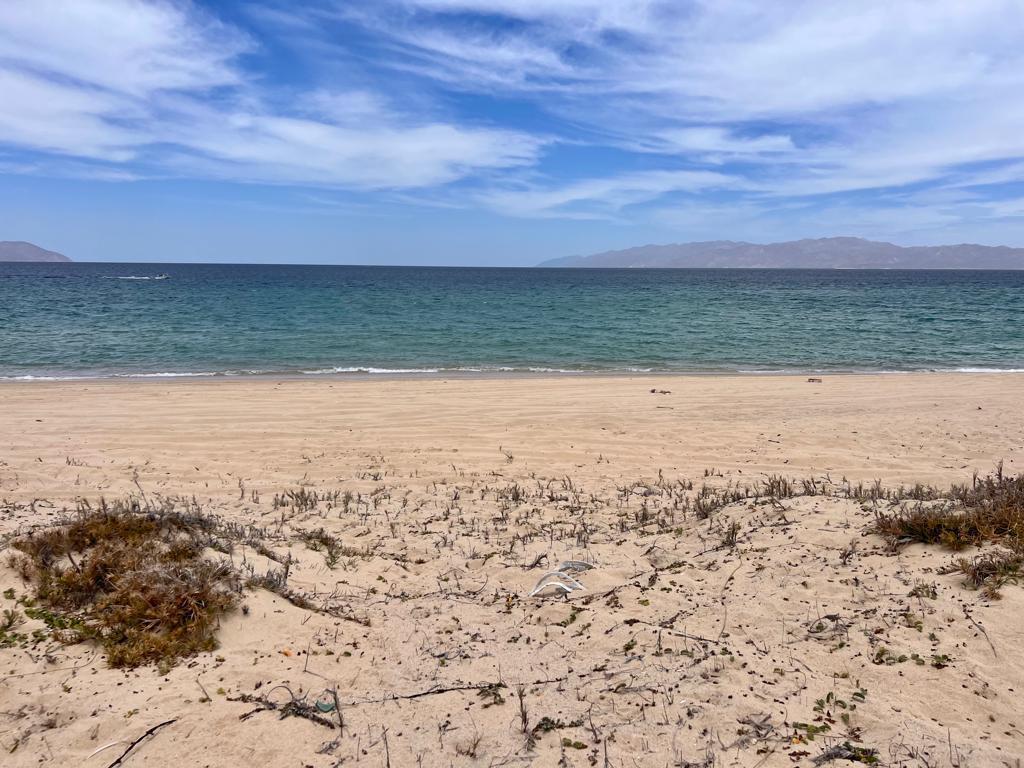 Property listings in Ejido Juan Dominguez Cota Subdivision 3 MLS #22-3203 image #0