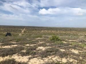 MLS #22-3387 image #0