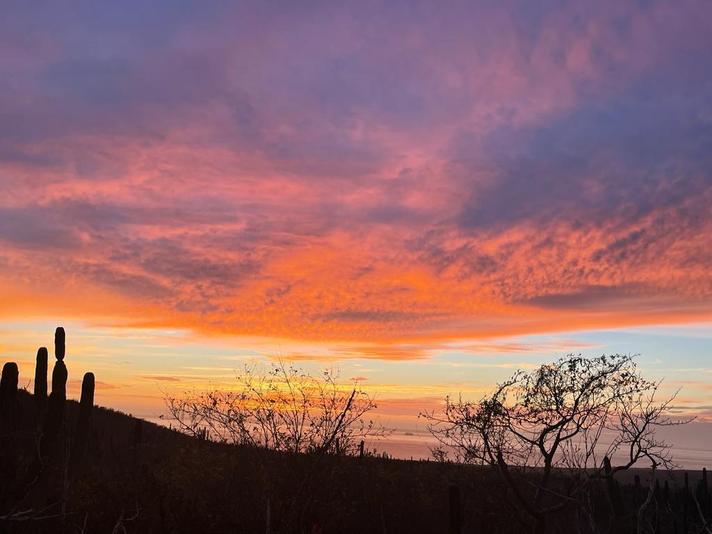 MLS #23-1363 image #0