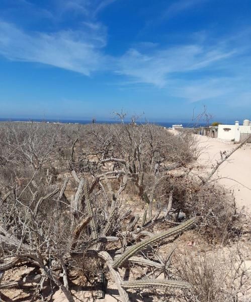 MLS #23-1962 image #0