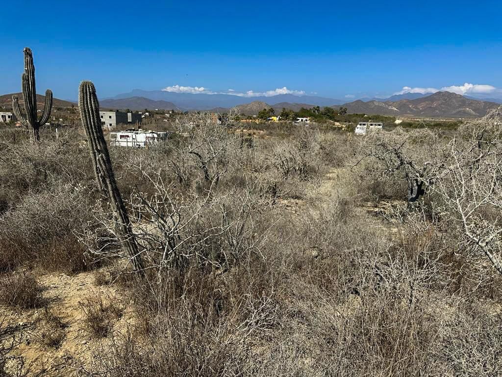 MLS #23-1974 image #0