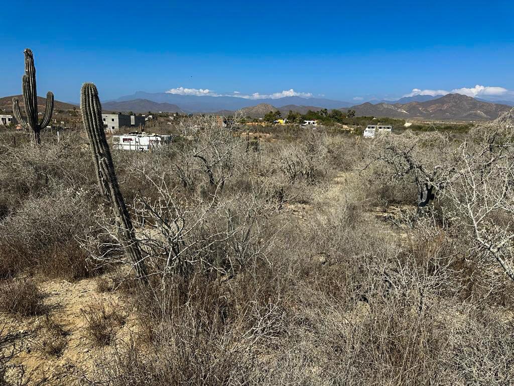 1127 Aranas Ranas Cerritos Beach Hidden Gem Pacific BCS MLS #23-1974 33 MLS #23-1974 image #0