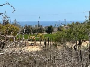 MLS #23-2544 image #0