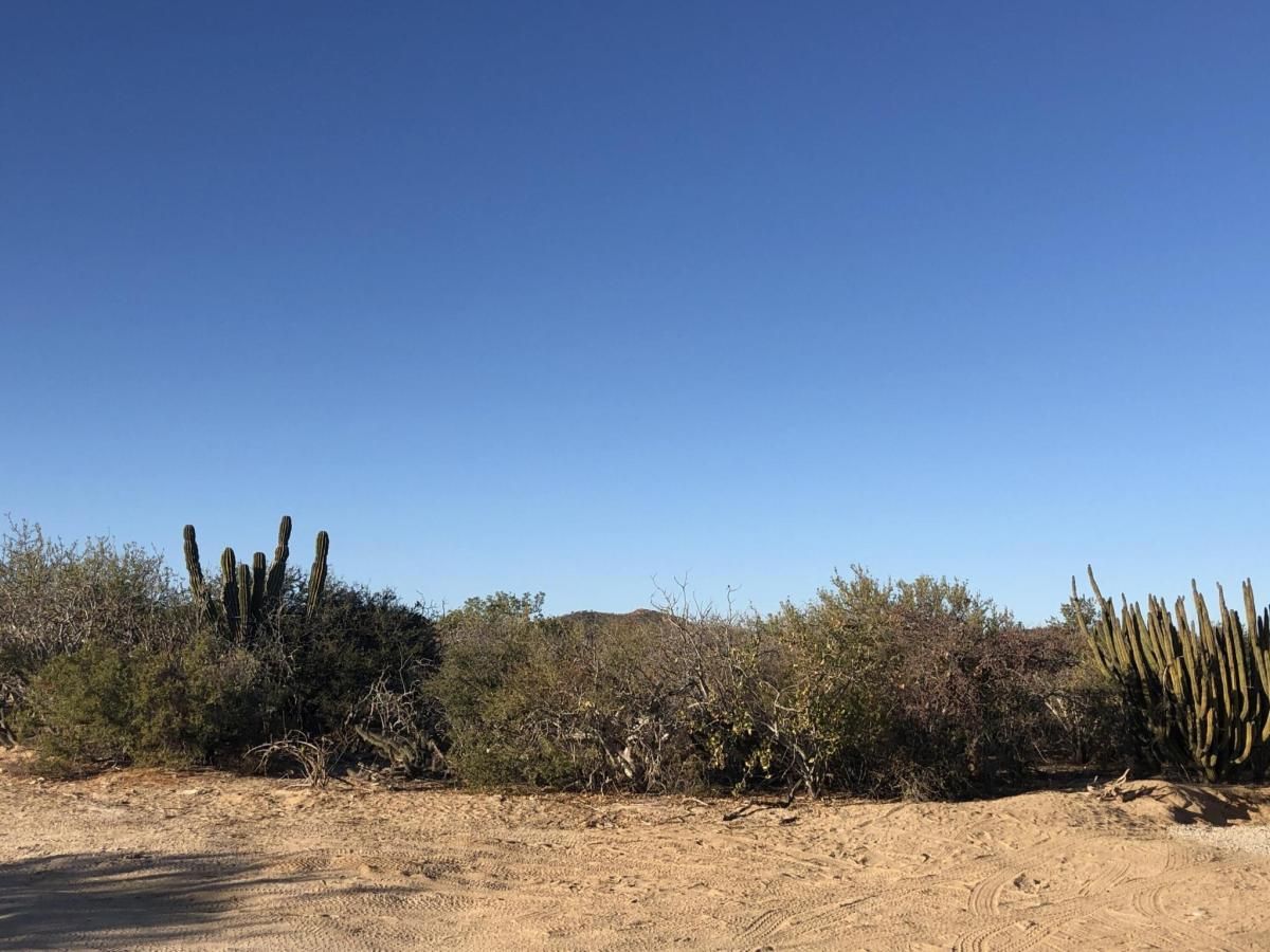 MLS #23-3594 image #0