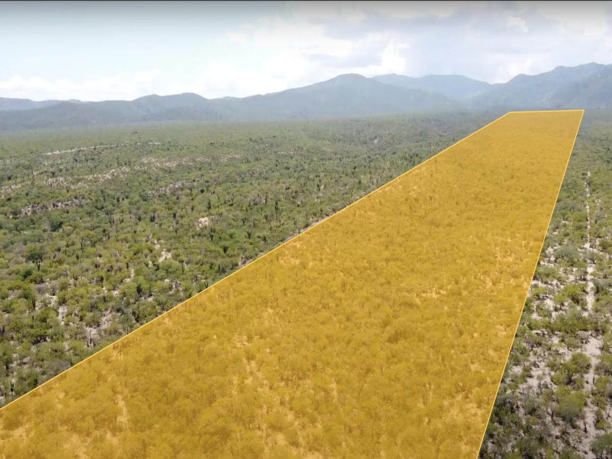 Poligono#7 Boca del Alamo - El Cardonal East Cape BCS MLS #23-3651 25 MLS #23-3651 image #0