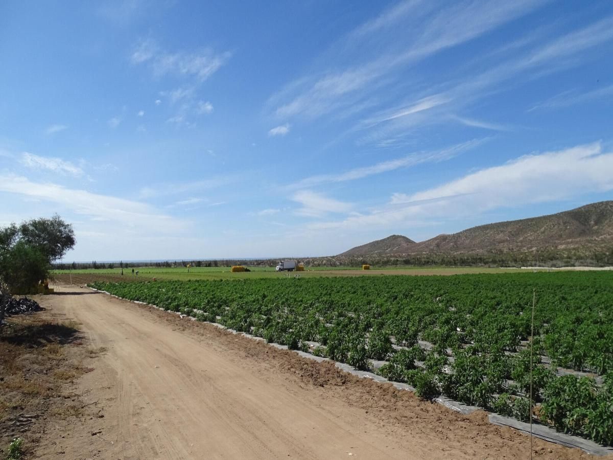 Carretera La Paz- Todos Santos Terreno Palmarito La Paz La Paz BCS MLS #23-3958 17 MLS #23-3958 image #0