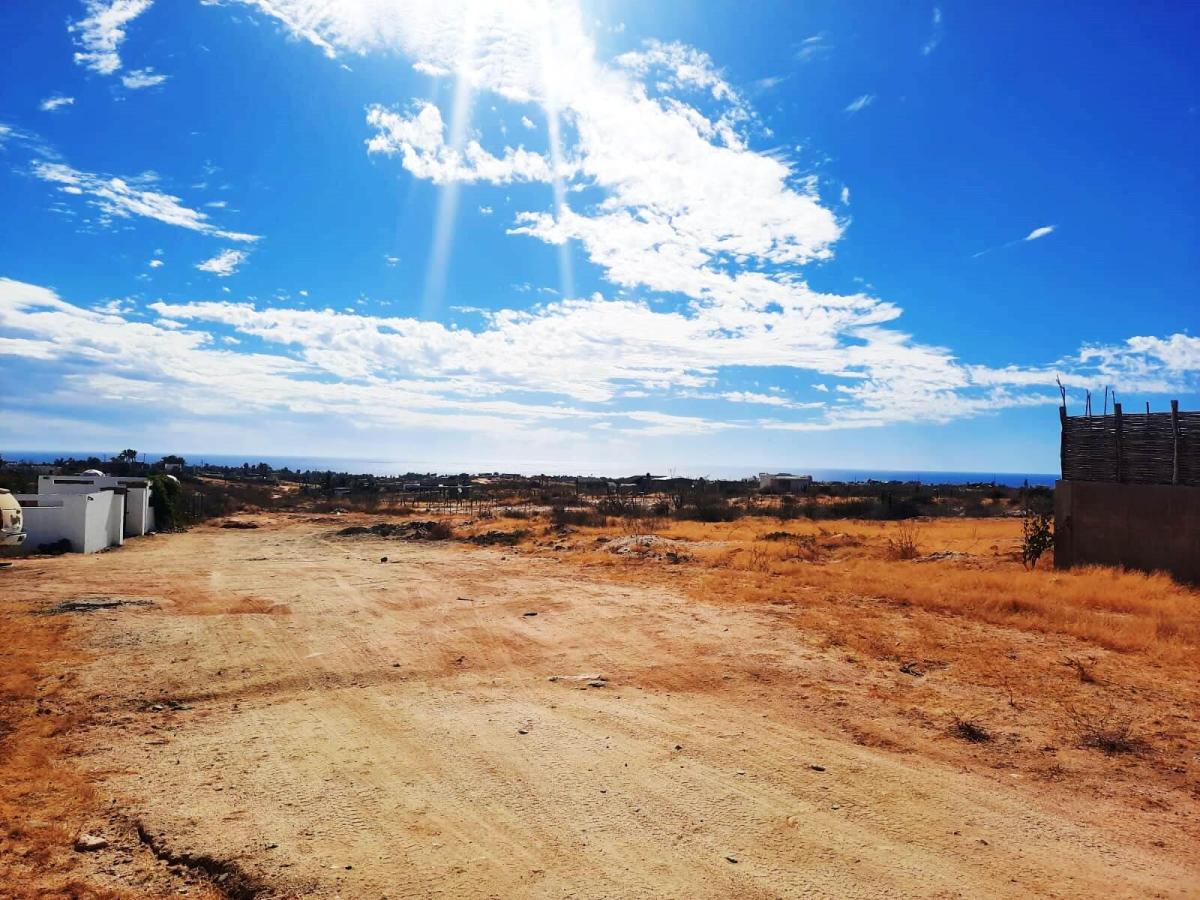 MLS #24-1262 image #0