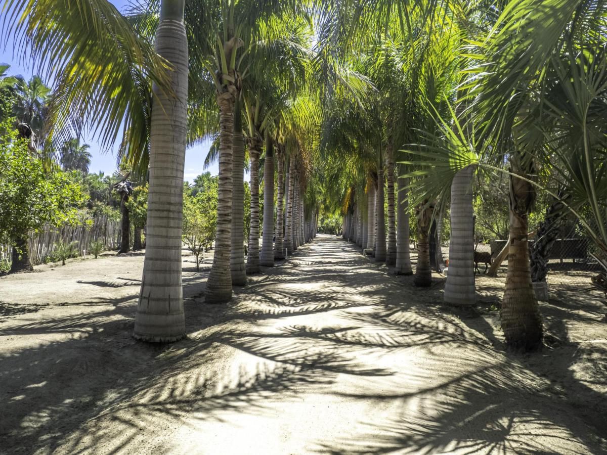 Frac. 364 Lote 249 El Oasis Pacific BCS MLS #24-1548 37 MLS #24-1548 image #0