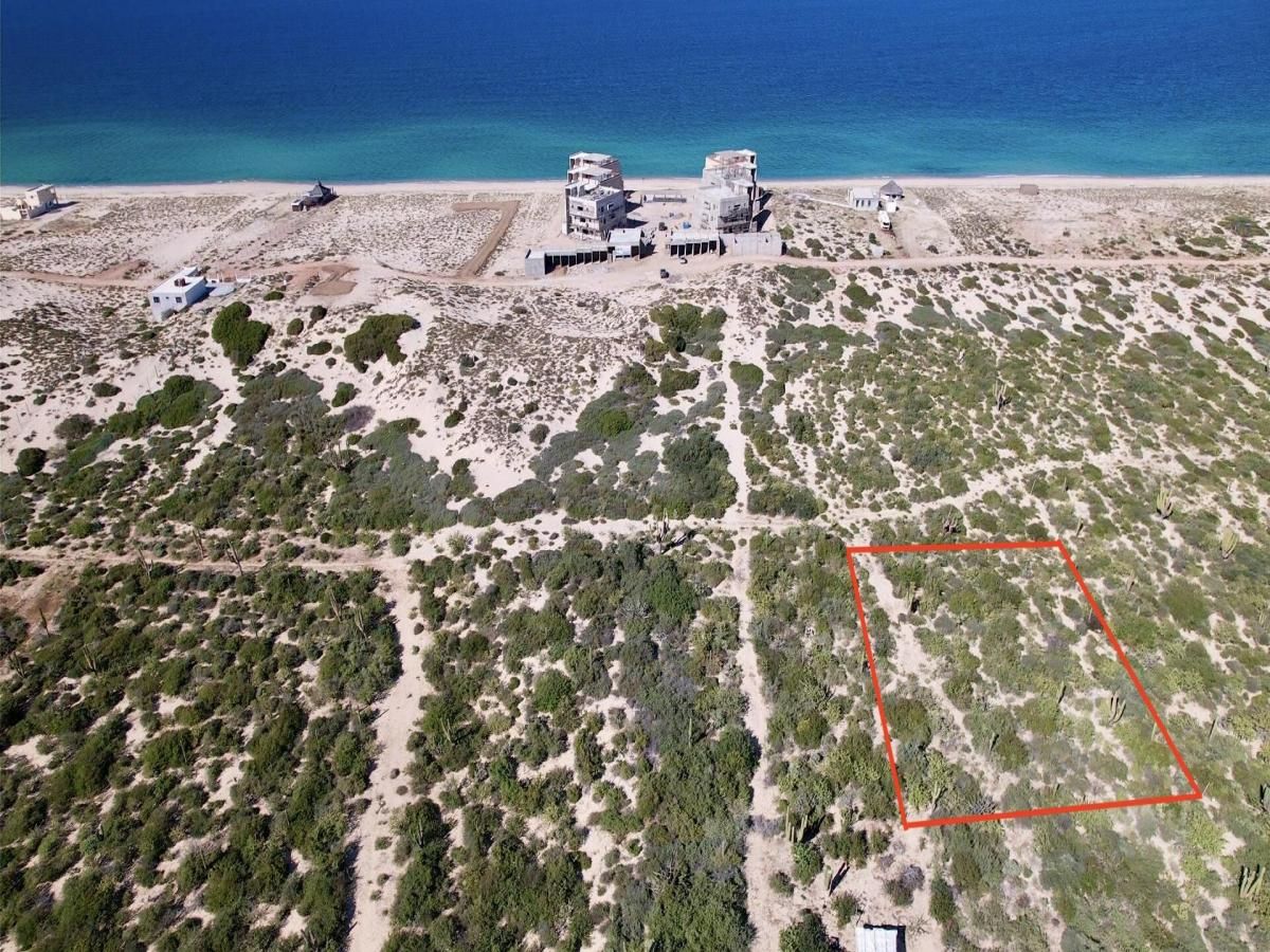 MLS #24-1557 image #0