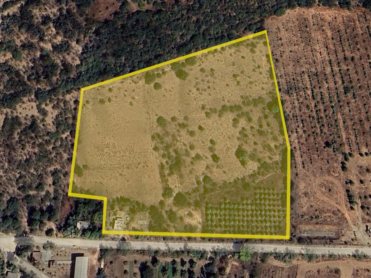 MLS #24-2006 image #0