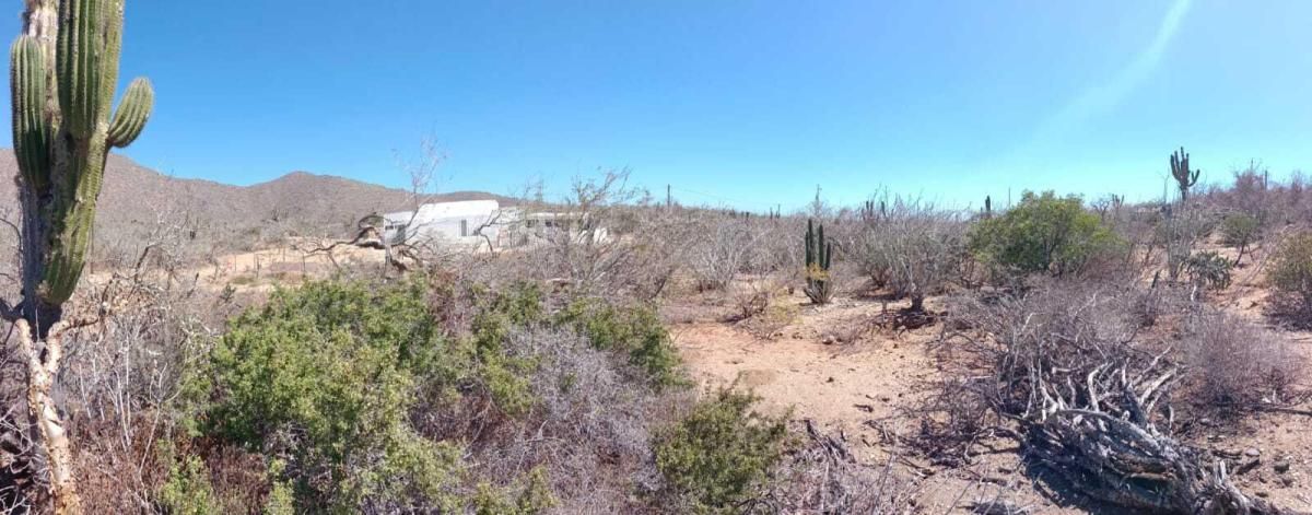 MLS #24-2037 image #0