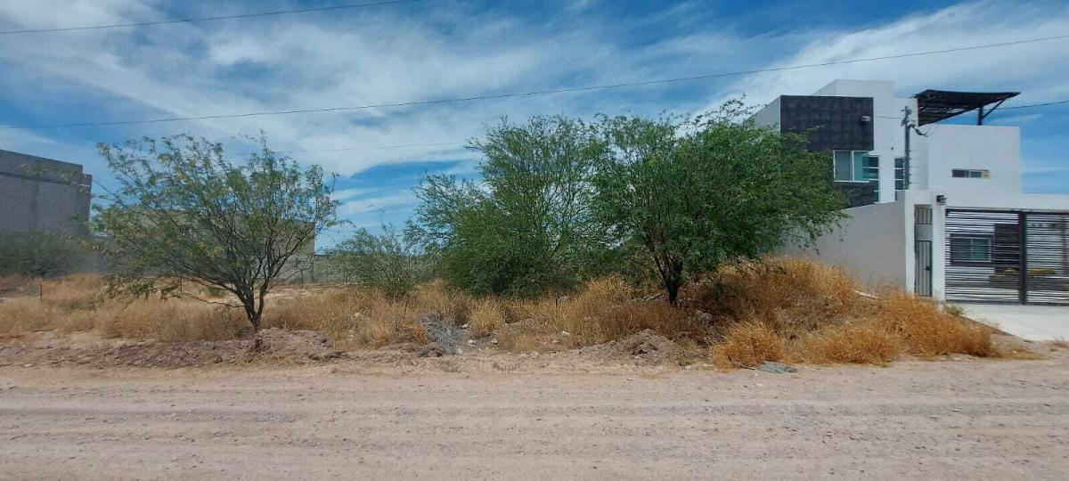 na Colina Rodriguez Lot 64 Colina del Sol La Paz BCS MLS #24-2217 37 MLS #24-2217 image #0