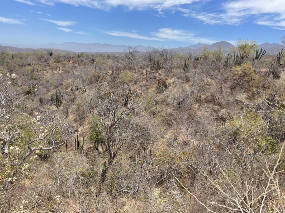 MLS #24-2304 image #0