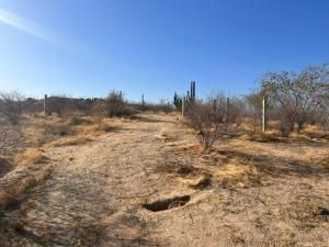 MLS #24-2359 image #0