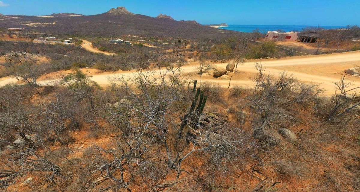 MLS #24-2396 image #0