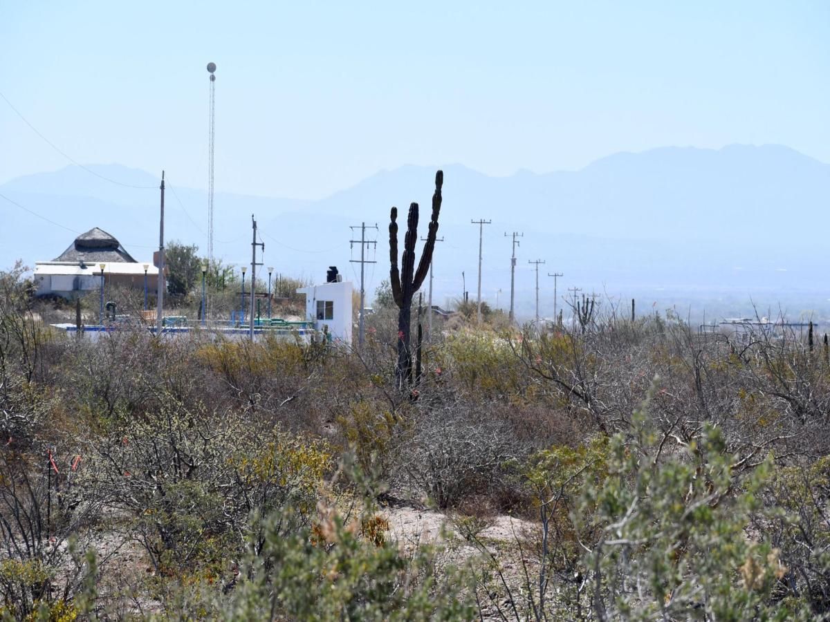 MLS #24-2493 image #0