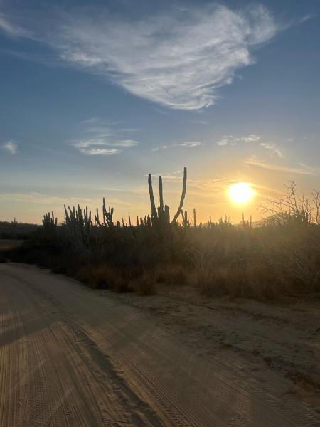 Cerritos Secluded Lot Pacific BCS MLS #24-2538 41 MLS #24-2538 image #0