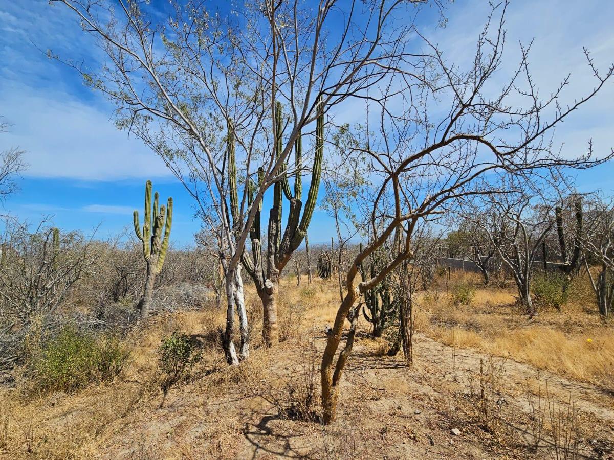 MLS #24-2597 image #0