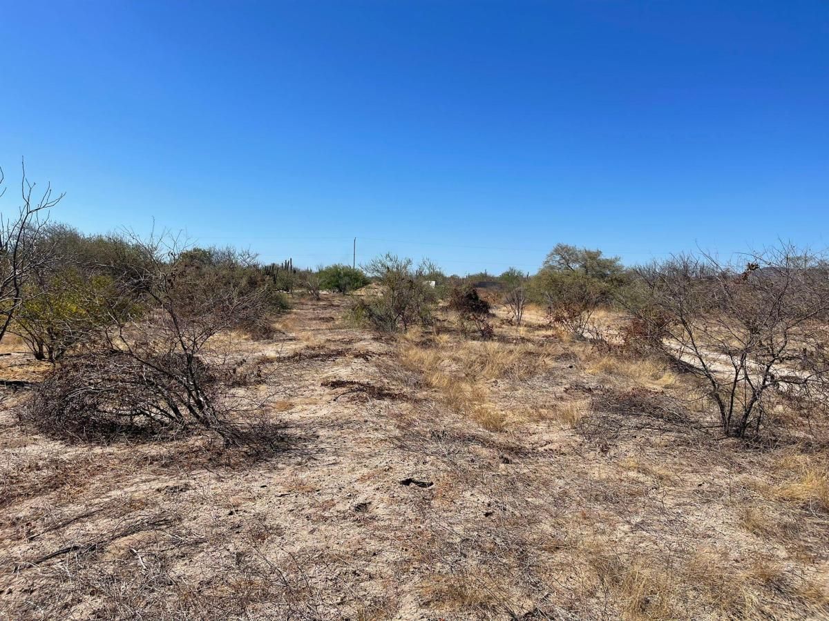 MLS #24-2996 image #0