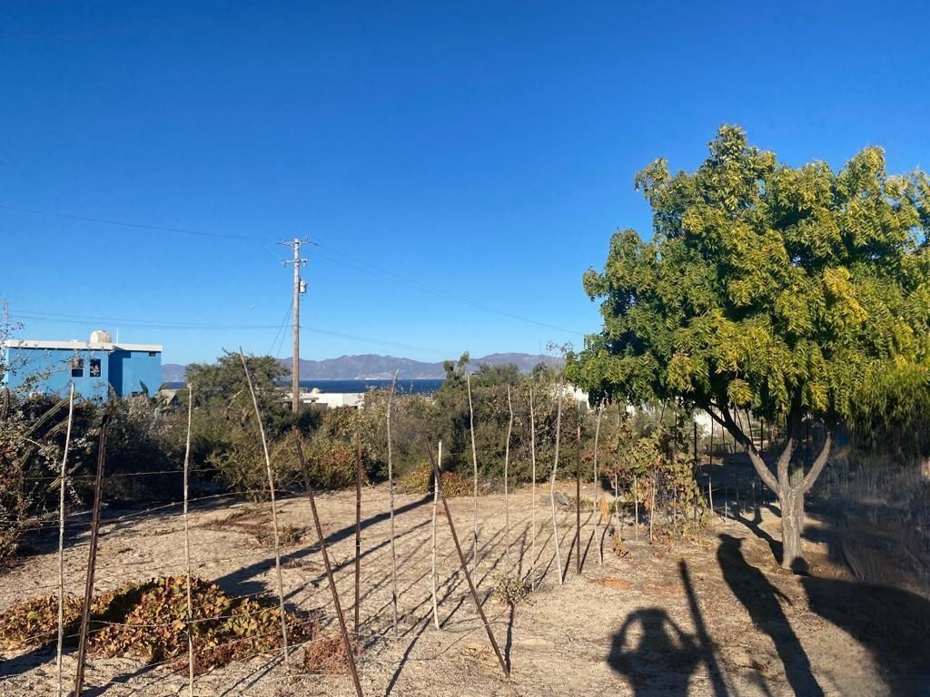 MLS #24-3039 image #0