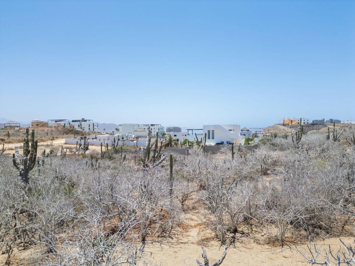 MLS #24-3093 image #0