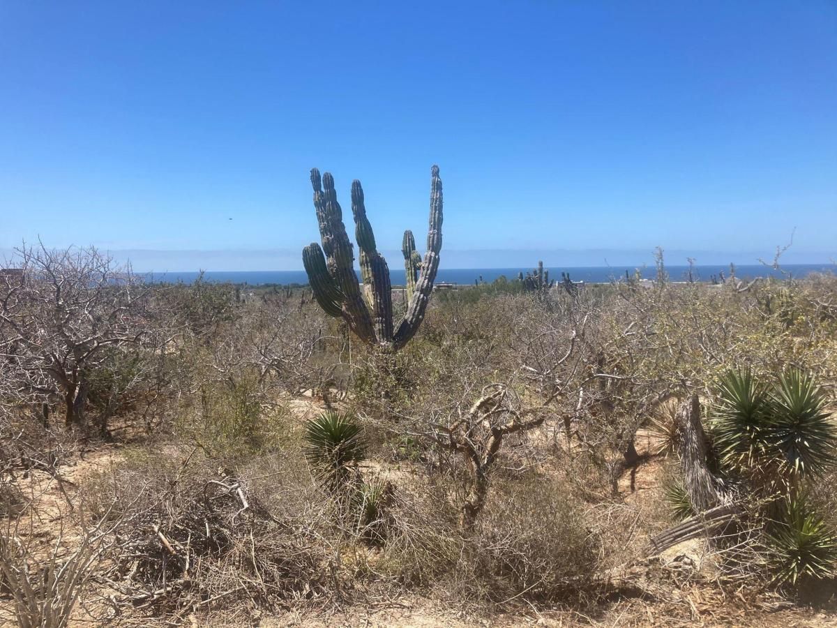 MLS #24-3102 image #0