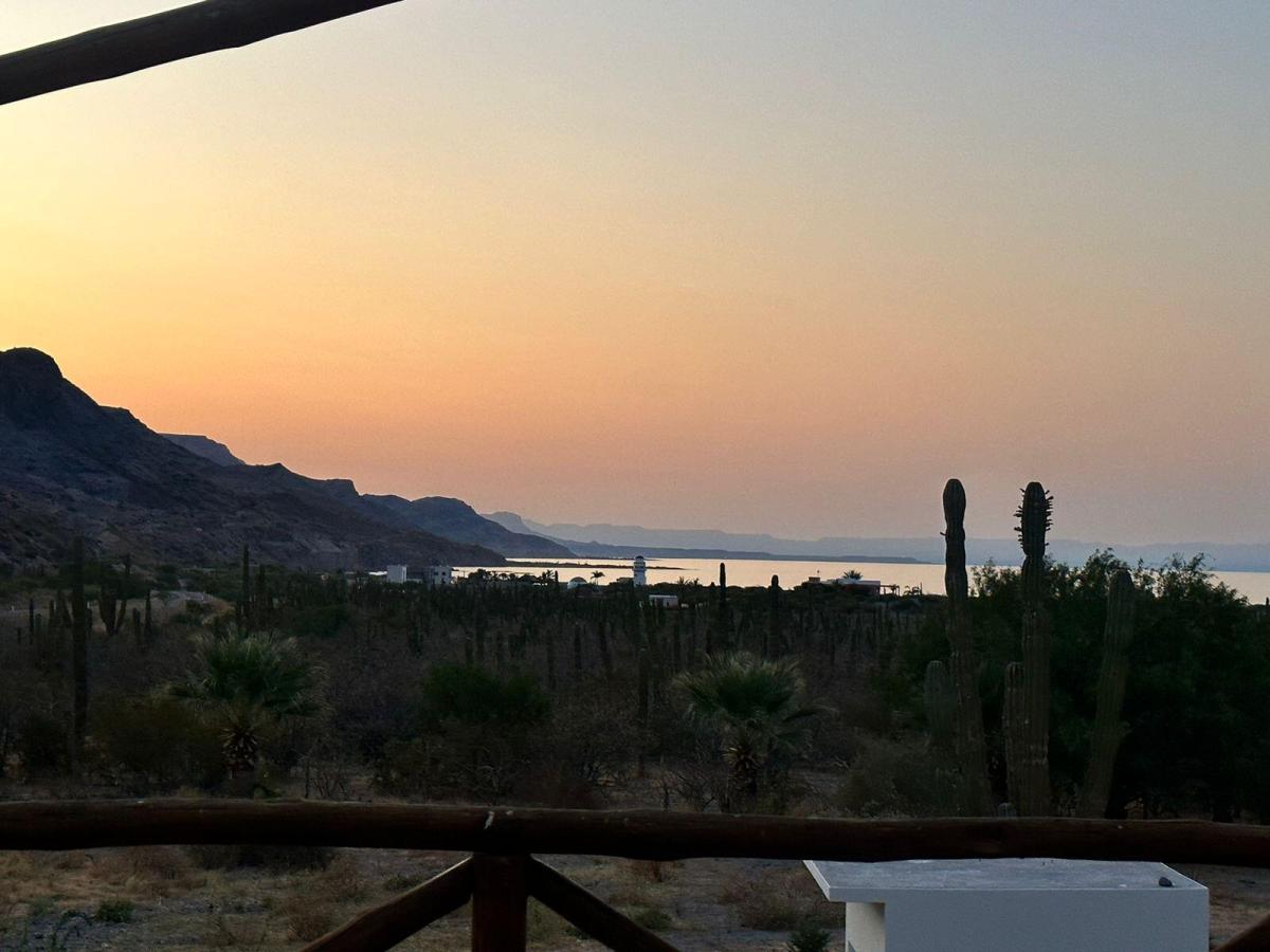 MLS #24-3113 image #0