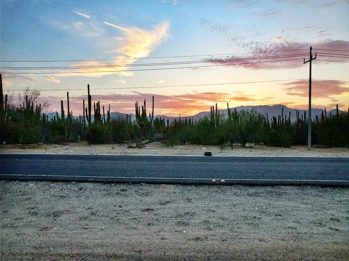 KM 3 Corredor Isla Cerralvo Five Acre Cardon Forest Lot La Paz BCS MLS #24-3140 37 MLS #24-3140 image #0