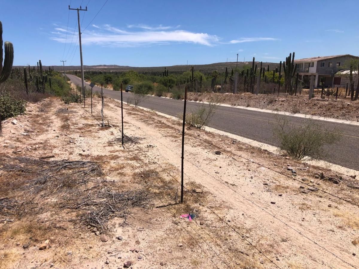 MLS #24-3155 image #0