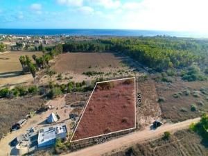 TODOS SANTOS LIZ LAND Pacific BCS MLS #24-3170 39 MLS #24-3170 image #0