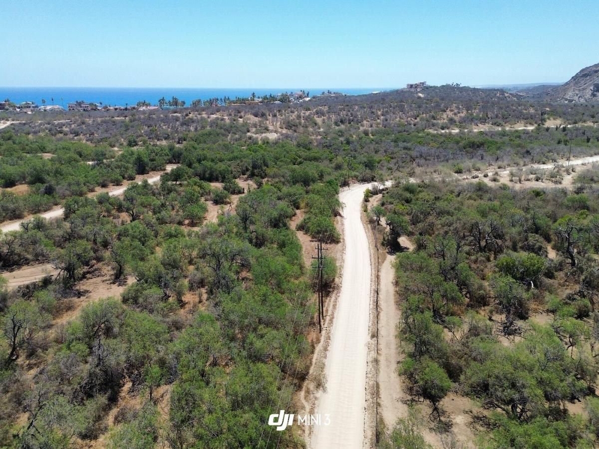 MLS #24-3268 image #0