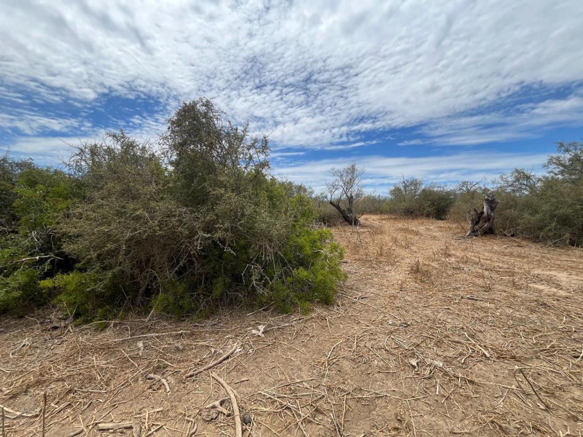 MLS #24-3269 image #0