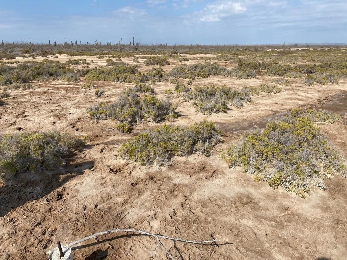 El Mogote Terreno Rústico en el Mogote La Paz BCS MLS #24-3335 39 MLS #24-3335 image #0