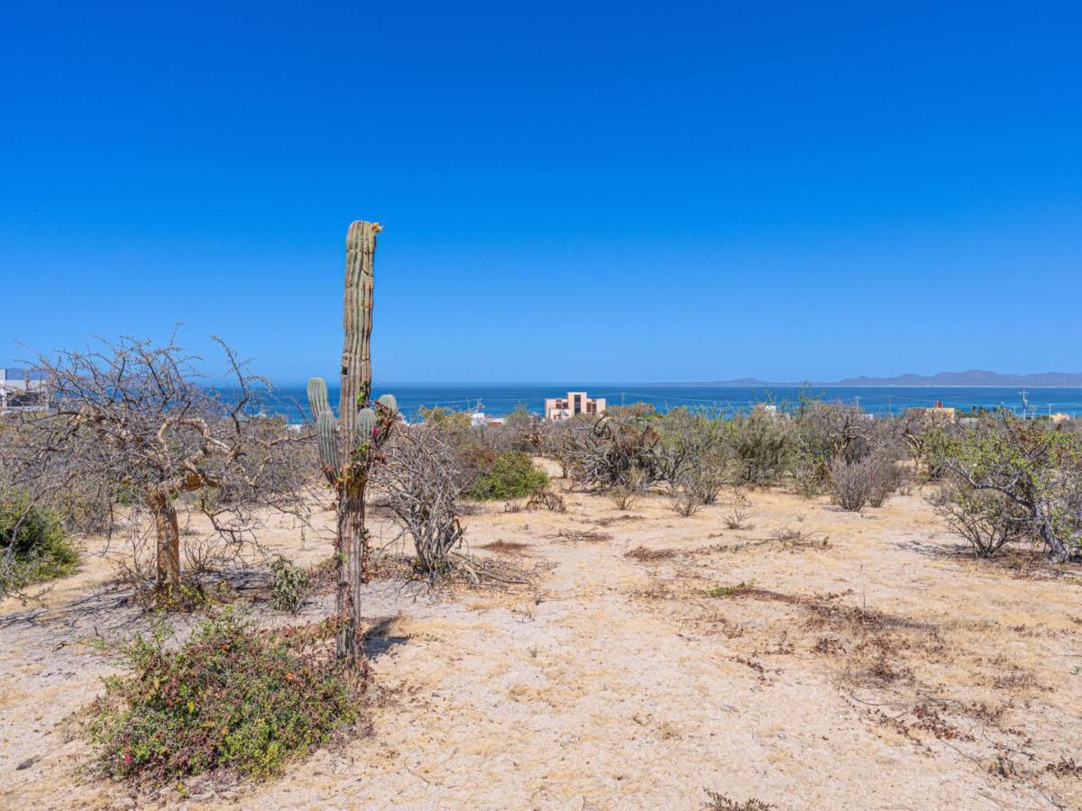 MLS #24-3441 image #0