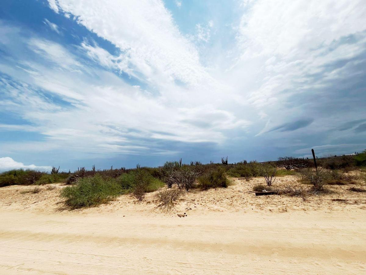 MLS #24-3579 image #0