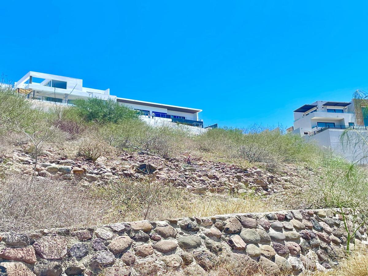 MLS #24-3647 image #0