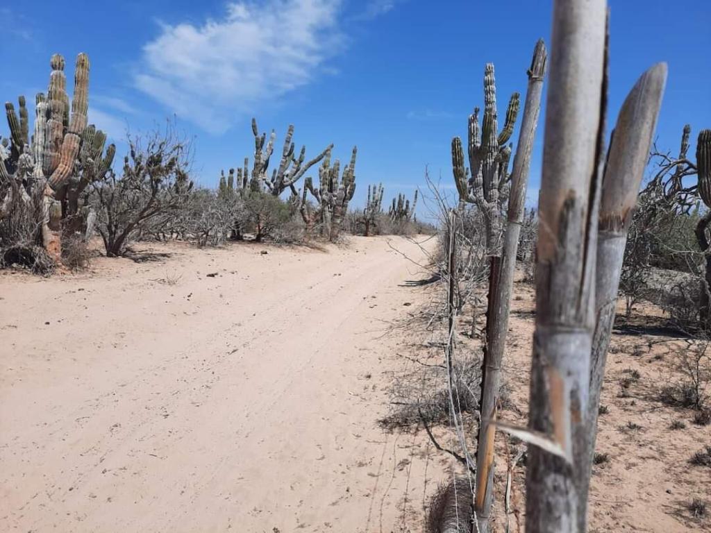 km 36 Carr. Al Nte TERRENO 3 La Paz La Paz BCS MLS #24-3694 17 MLS #24-3694 image #0
