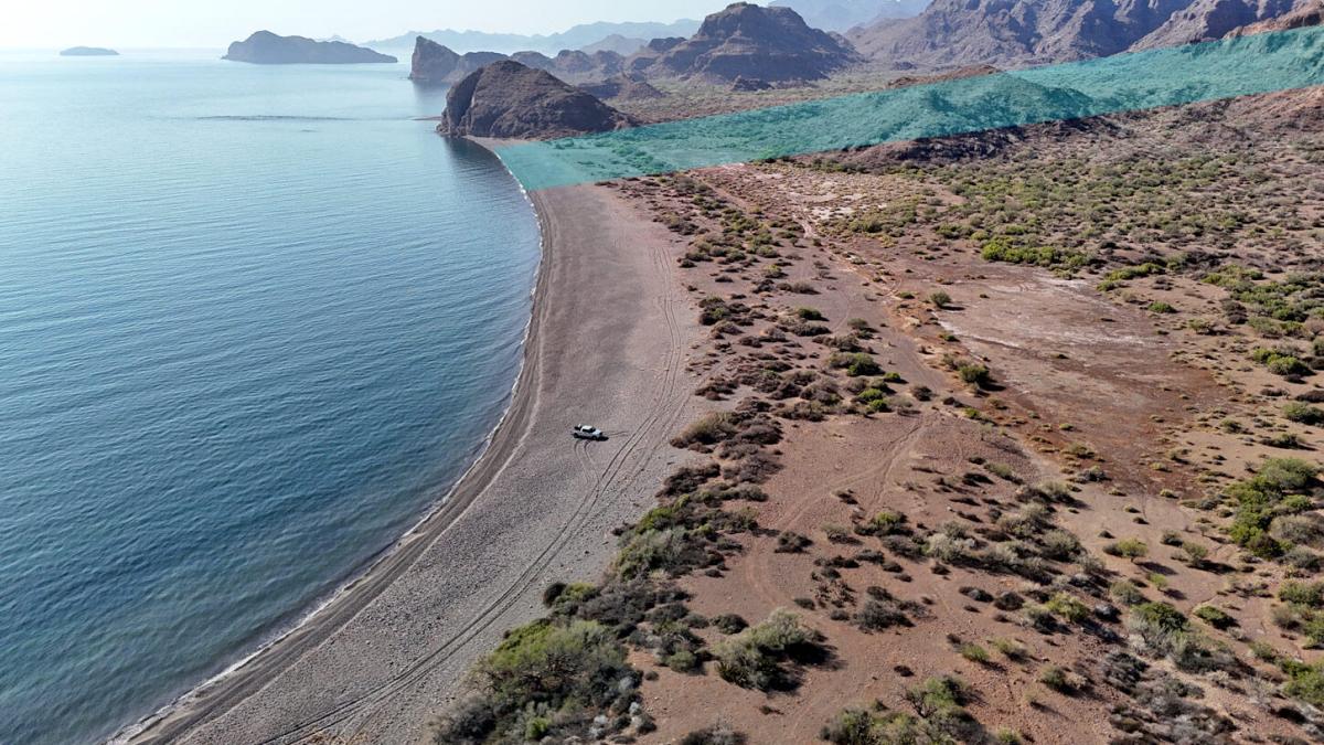 MLS #24-3713 image #0