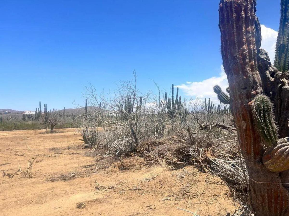 MLS #24-3817 image #0