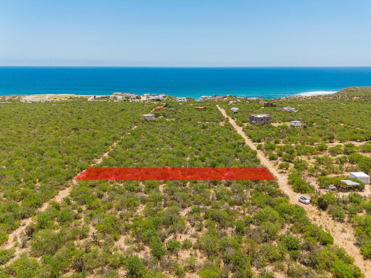 MLS #24-3847 image #0