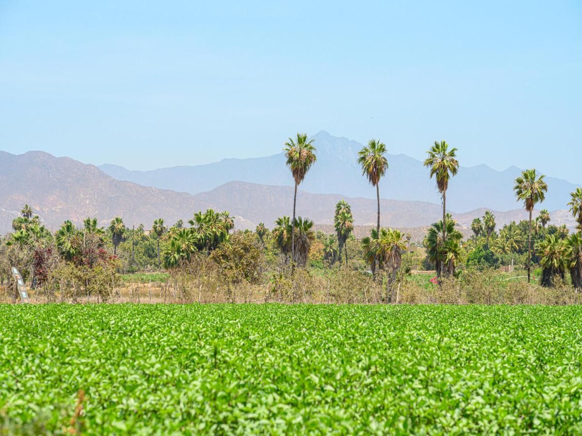 Rancho Sol y Cielo Pacific BCS MLS #24-3896 37 MLS #24-3896 image #0